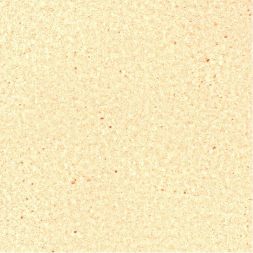Линолеум 060-10 Алекс Люкс